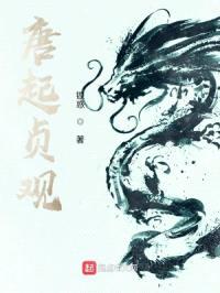 唐起贞观封面