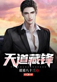 天道藏锋封面
