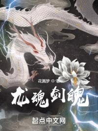 龙魂剑魄封面