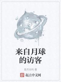 来自月球的访客封面