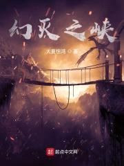 幻灭之峡封面