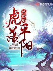 叶落黄天封面