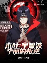 木叶：宇智波华丽的叛逆封面