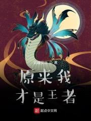 原来我才是王者封面