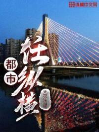 都市任纵横封面