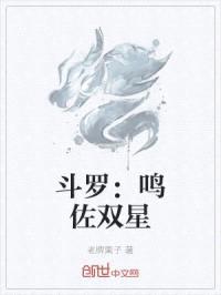 斗罗大陆鸣人传封面