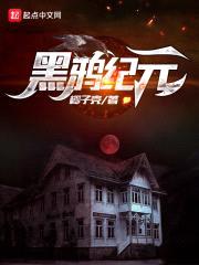 黑鸦纪元封面