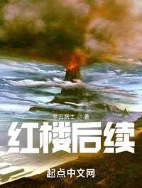 红楼后续封面