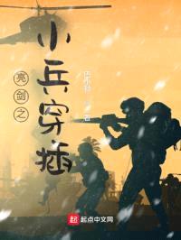 亮剑之小兵穿插封面