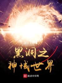 黑洞之神域世界封面