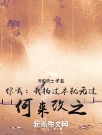 综武：我杨过本就无过，何来改之封面