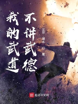 我的武道不讲武德封面