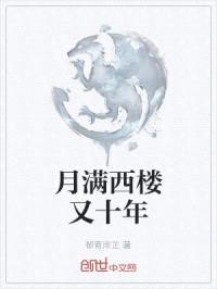 月满西楼又十年封面