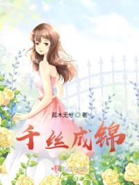 千丝成锦封面