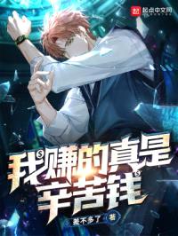 我赚的真是辛苦钱封面