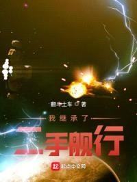 我继承了二手舰行封面