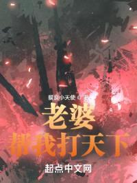 老婆帮我打天下封面