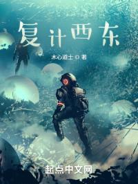 复计西东封面
