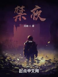 禁夜封面