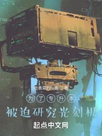 为了专升本：被迫研究光刻机封面