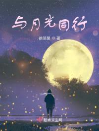 与月光同行封面