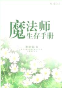 魔法师生存手册封面