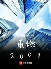 重燃2001封面