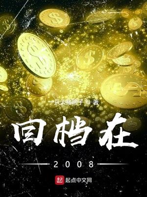 回档在2008封面