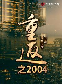 重返之2004封面
