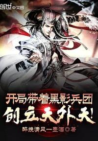 开局带着黑影兵团，创立天外天！封面