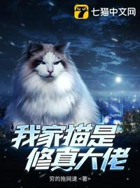 我家猫是修真大佬封面