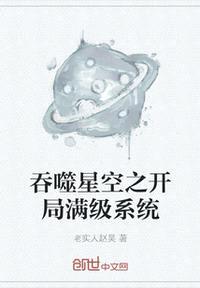 吞噬星空之开局满级系统封面