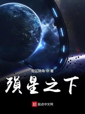 殒星之下封面