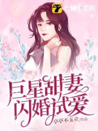 巨星甜妻闪婚试爱封面