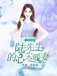 陆先生的心尖暖妻封面