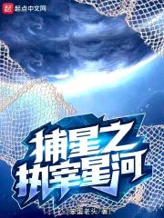 捕星之执宰星河封面