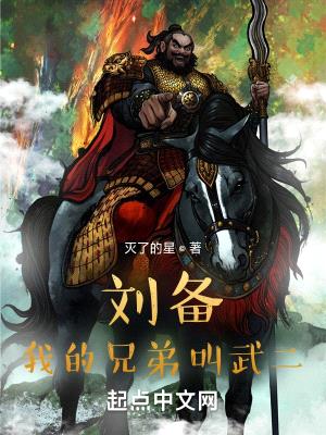 刘备：我的兄弟叫武二封面