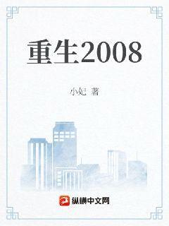重生2008封面