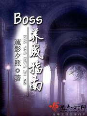 BOSS养成指南封面