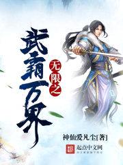 无限之武霸万界封面